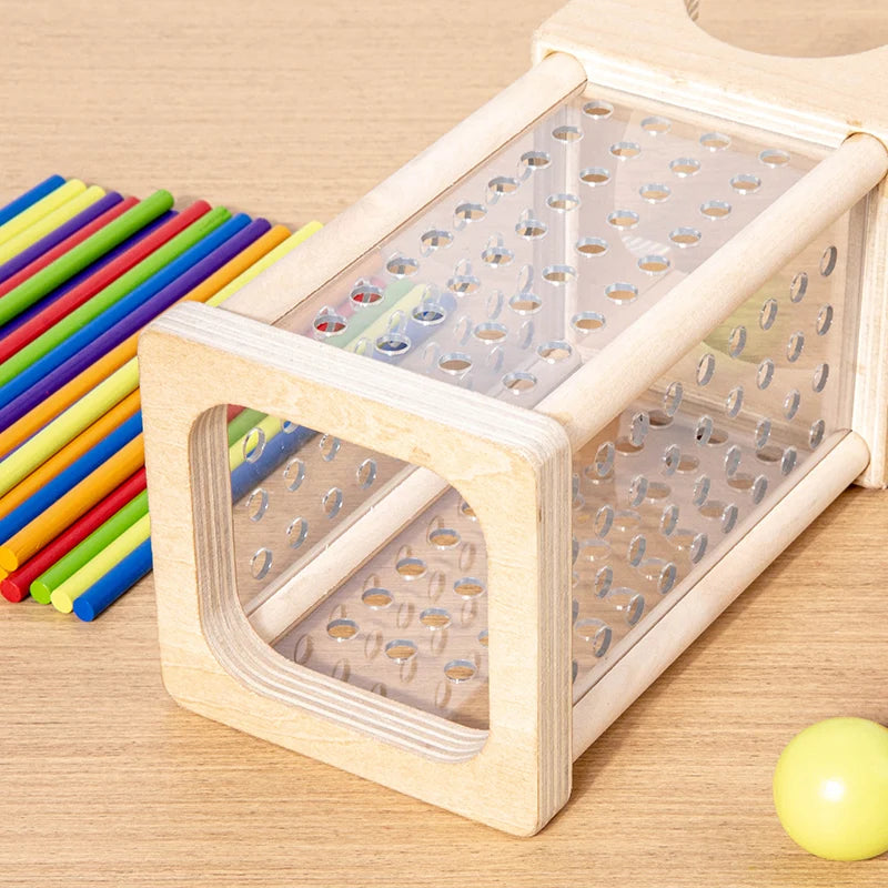 Wooden Stick Board Game Parent Child Interaction Montessori Wooden Toys, 4-Sided Acrylic Cylinder Game, Stick Picking Game